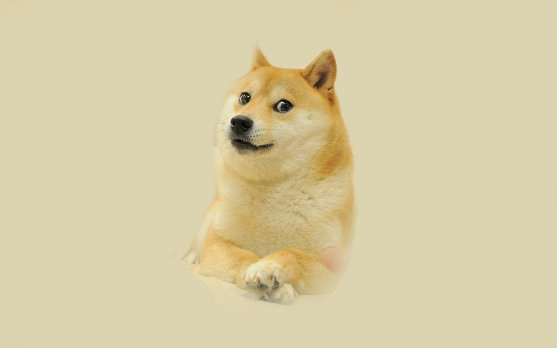 Awesome Doge free background ID:64462 for hd 1920x1200 PC