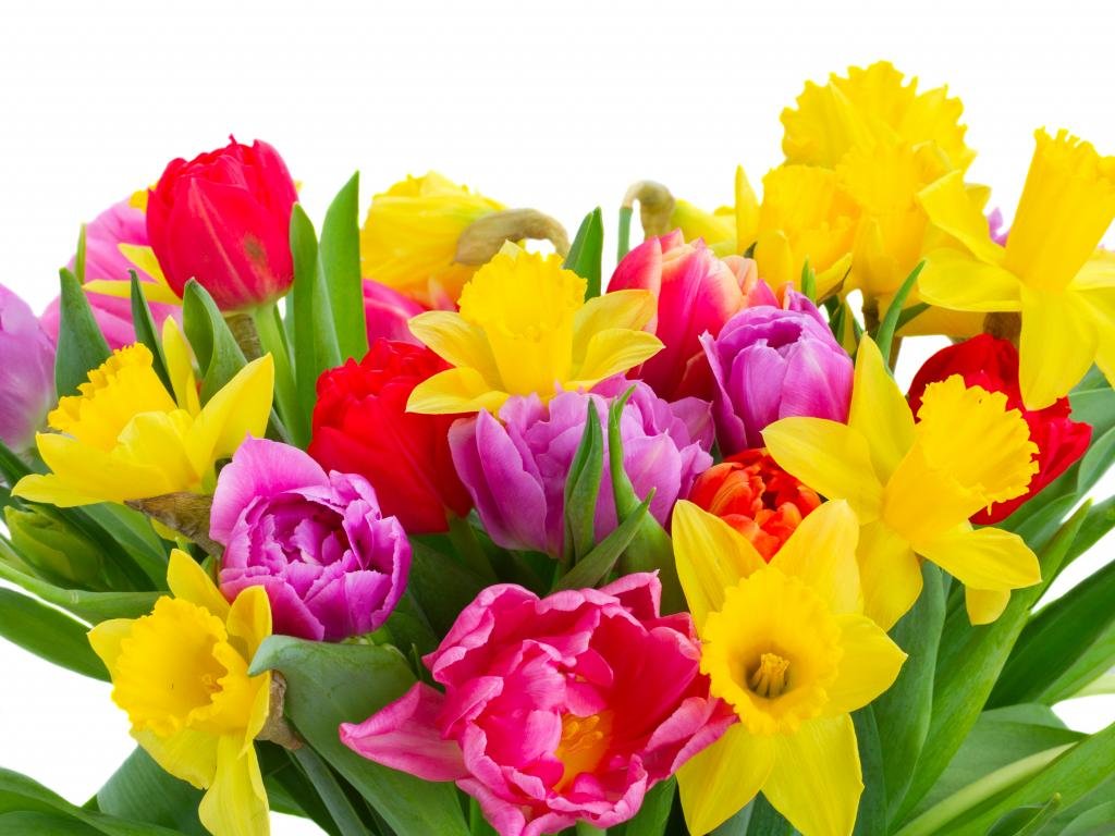 Free Flower bouquet high quality background ID:179853 for hd 1024x768 PC