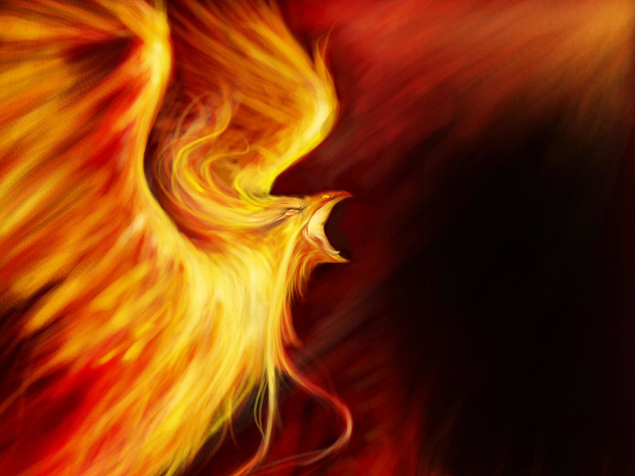 Best Phoenix background ID:100513 for High Resolution hd 2048x1536 PC