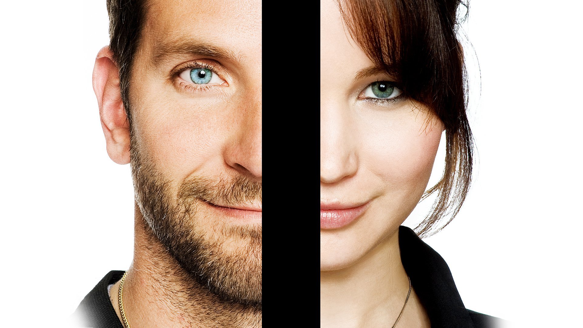 Free Silver Linings Playbook high quality background ID:294832 for full hd desktop