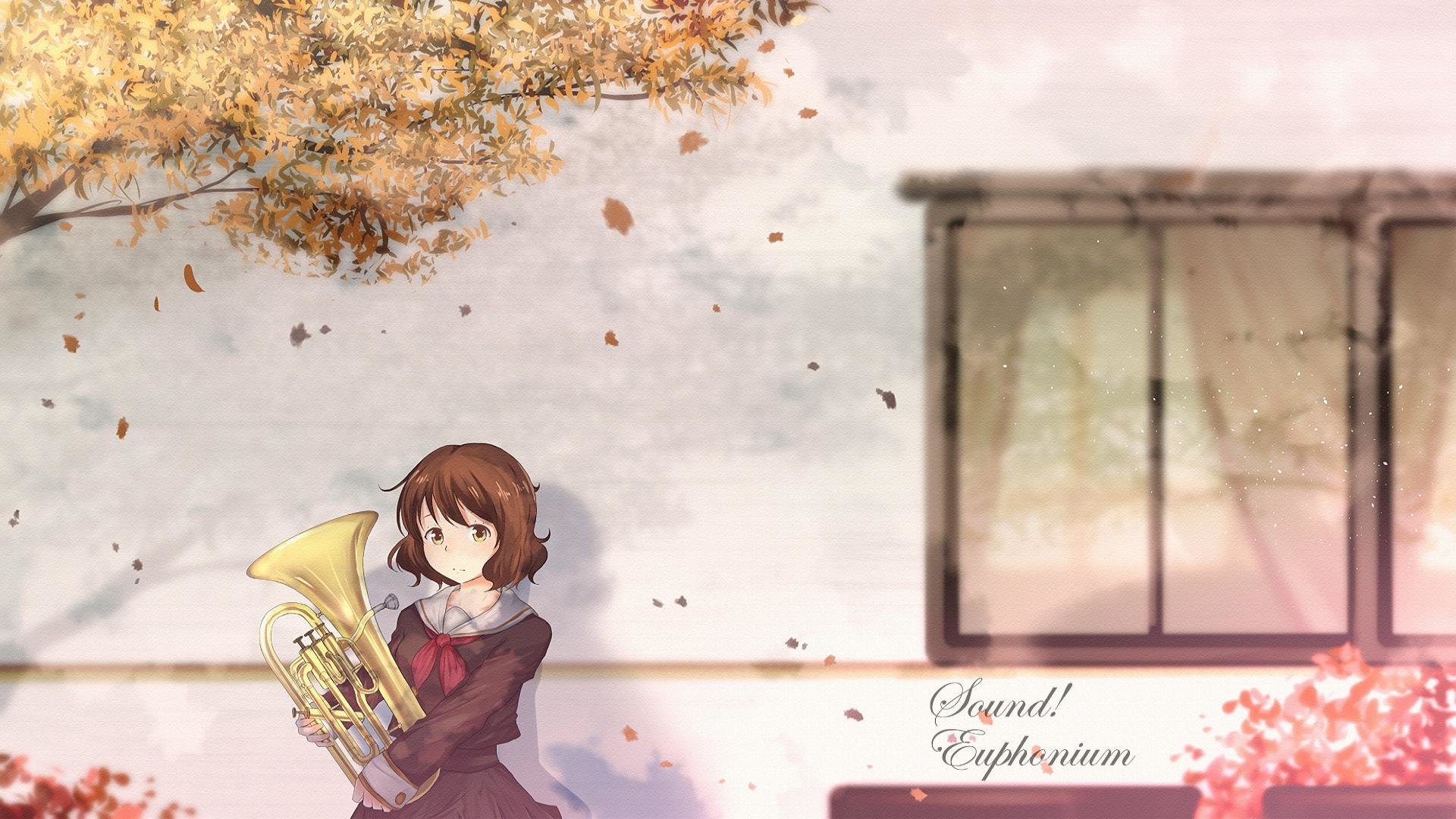 Free Sound! Euphonium high quality background ID:380272 for full hd 1920x1080 desktop
