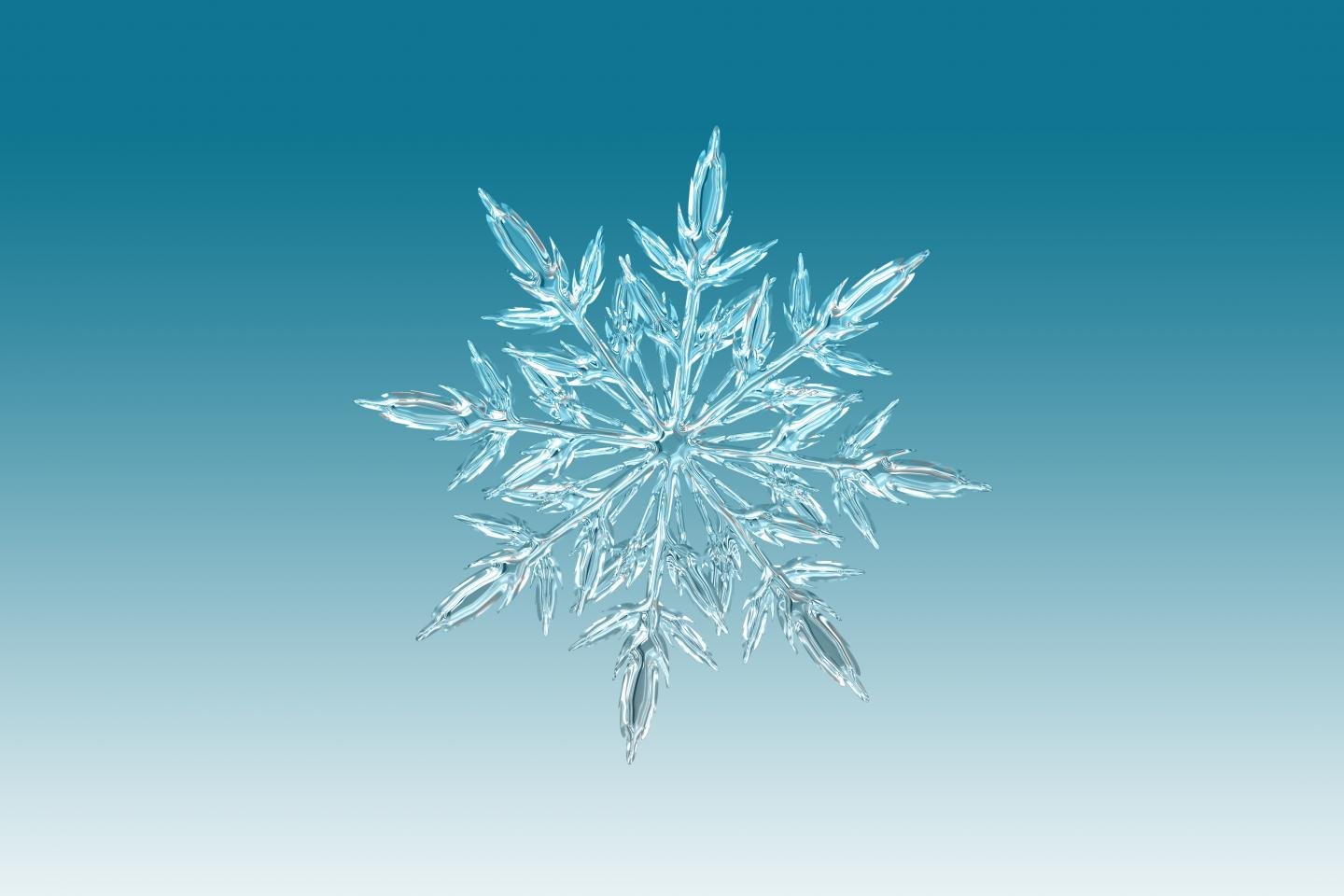 Download hd 1440x960 Snowflake desktop wallpaper ID:45404 for free