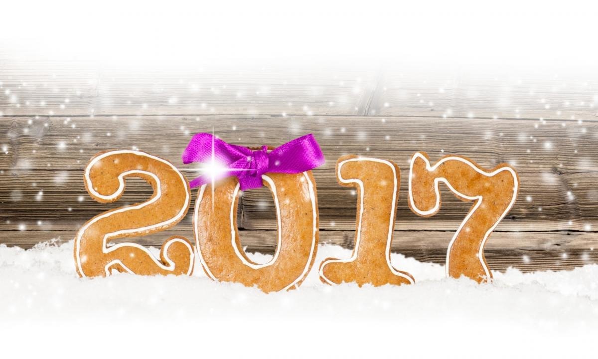 Free New Year 2017 high quality wallpaper ID:64407 for hd 1200x720 PC