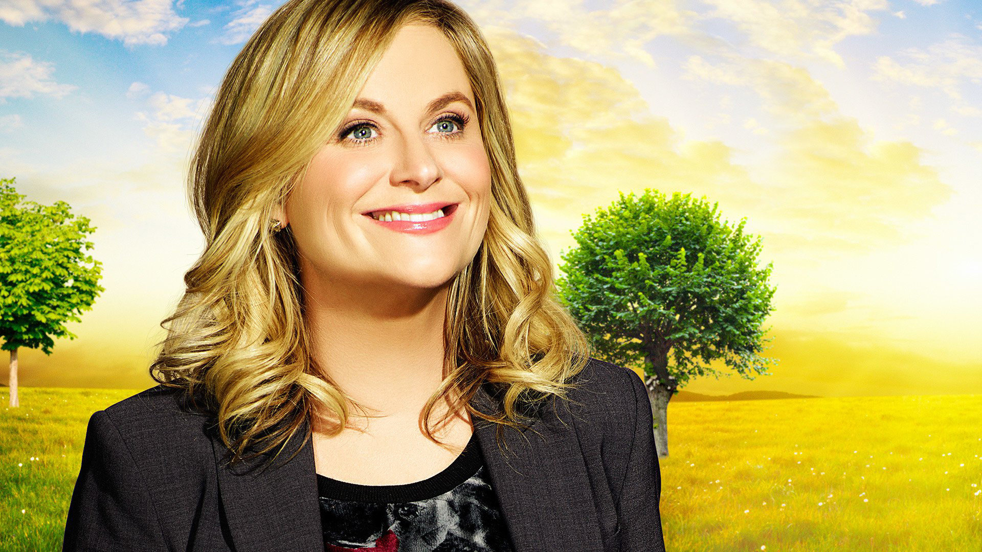 Download 1080p Parks And Recreation desktop wallpaper ID:351241 for free