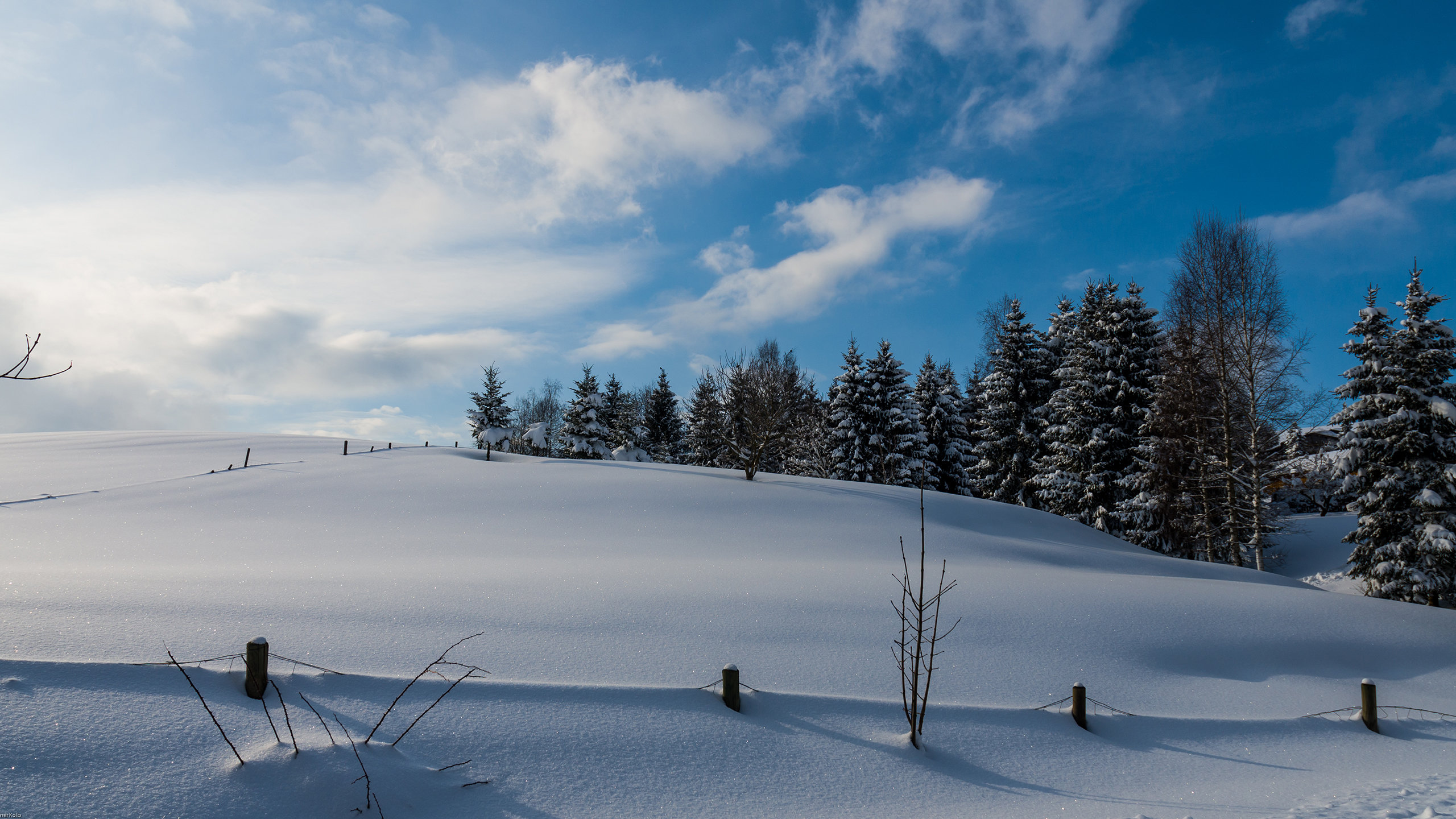 Free download Winter background ID:251651 hd 2560x1440 for PC
