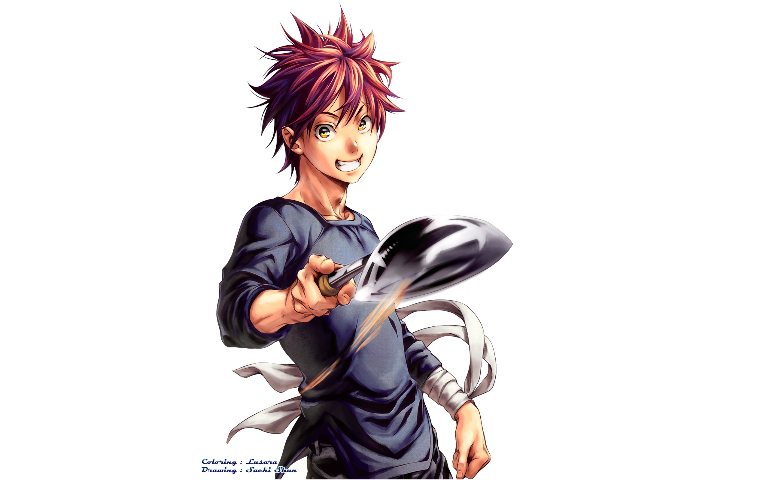 Best Food Wars: Shokugeki No Soma background ID:312231 for High Resolution hd 2560x1600 PC