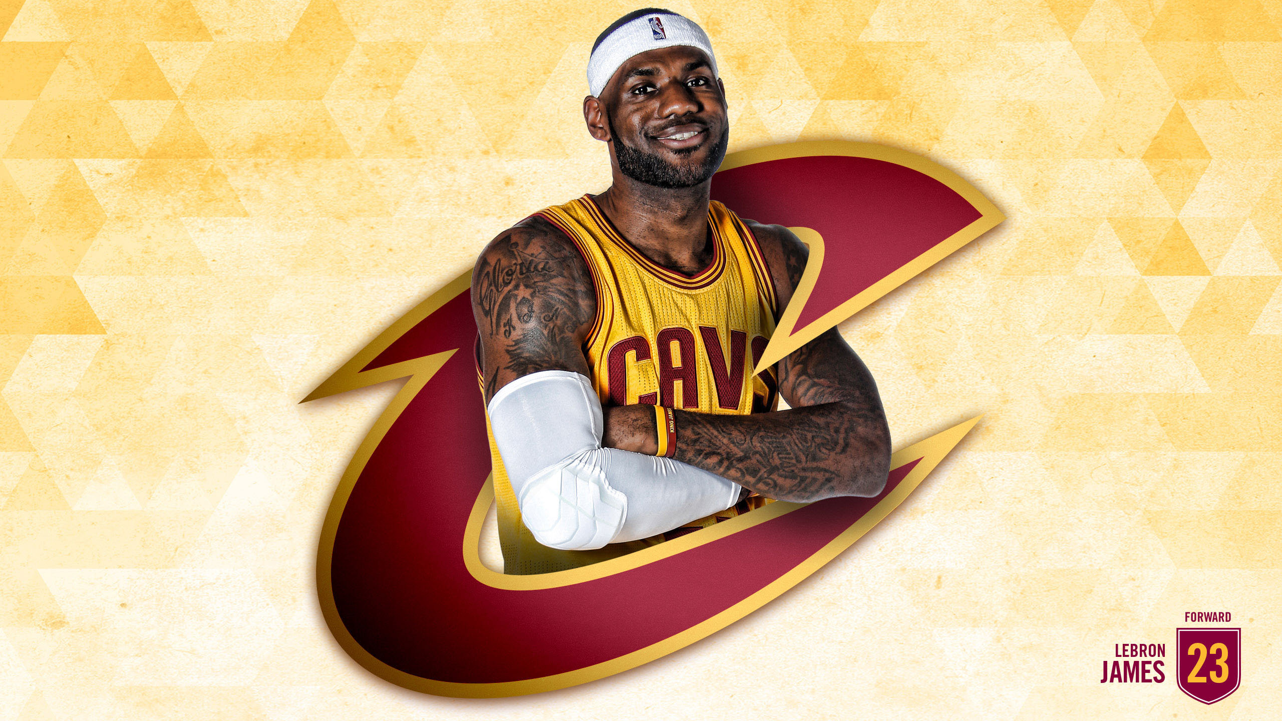 Download hd 2560x1440 LeBron James PC wallpaper ID:113151 for free