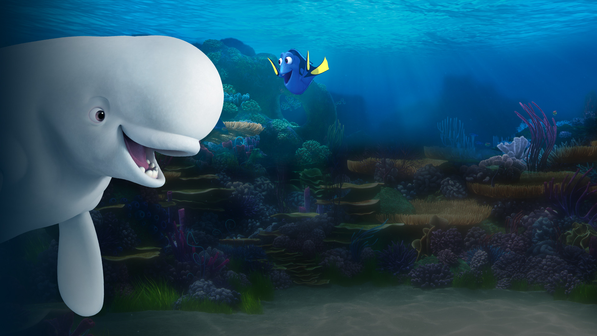 Best Finding Dory wallpaper ID:68894 for High Resolution hd 1920x1080 computer