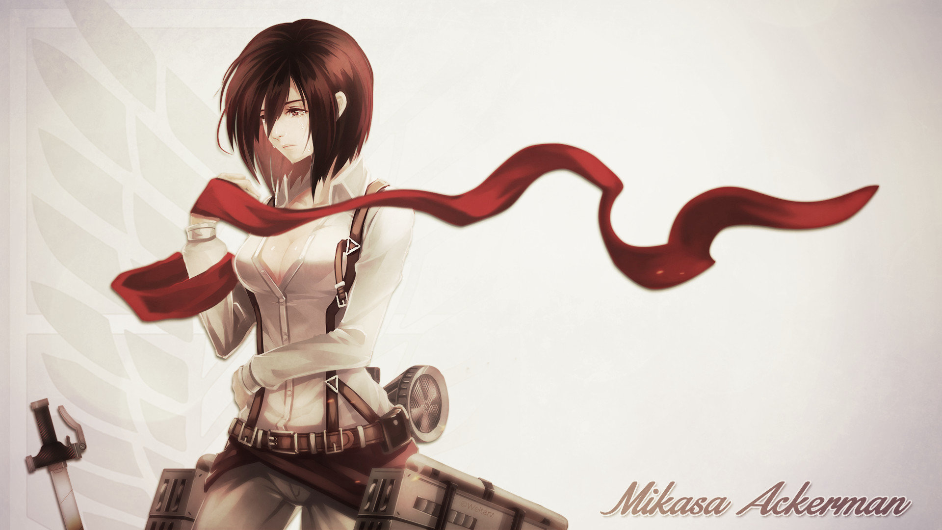 Free Mikasa Ackerman high quality wallpaper ID:206997 for full hd 1080p desktop