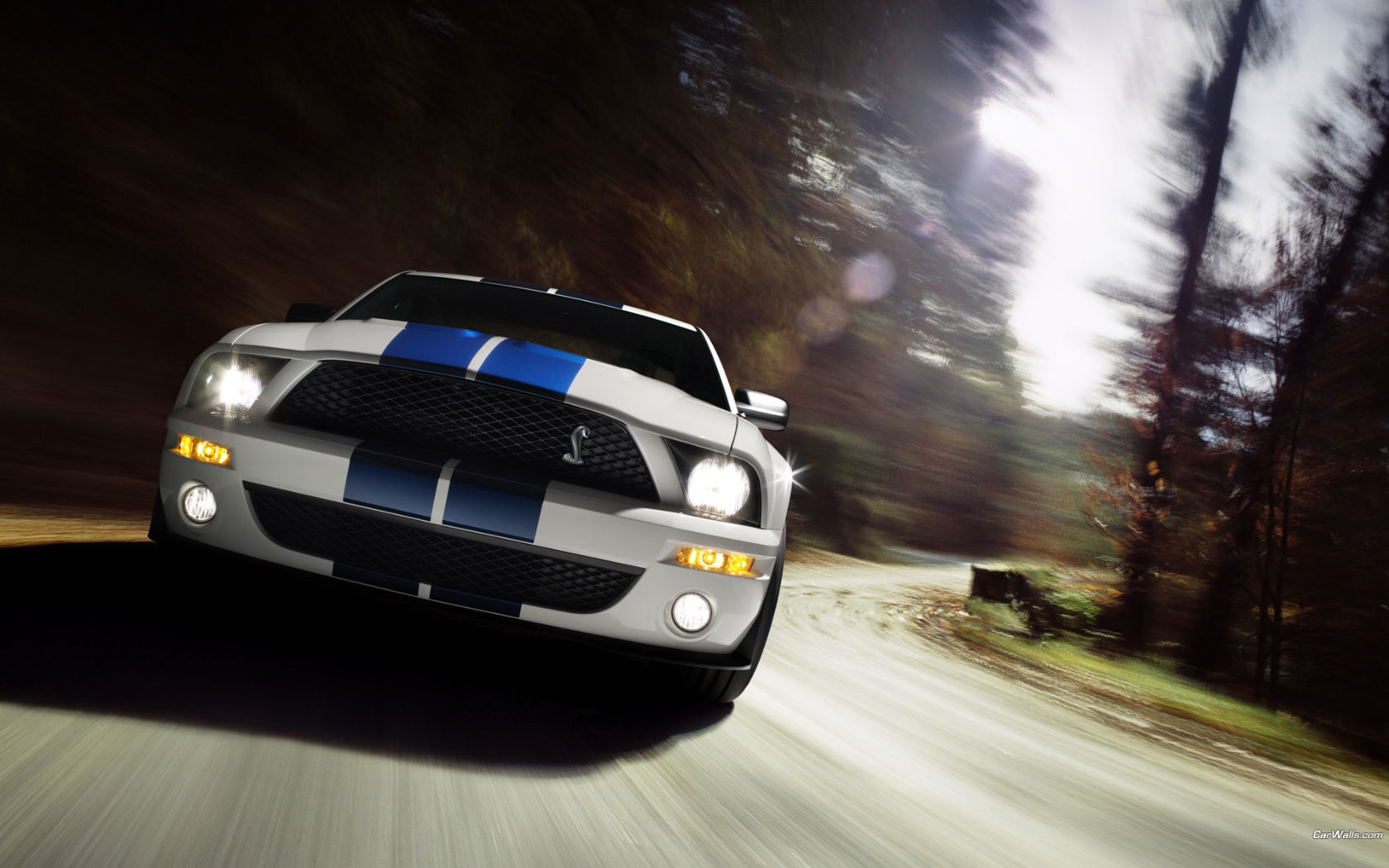 Awesome Ford Mustang free background ID:204776 for hd 1680x1050 PC