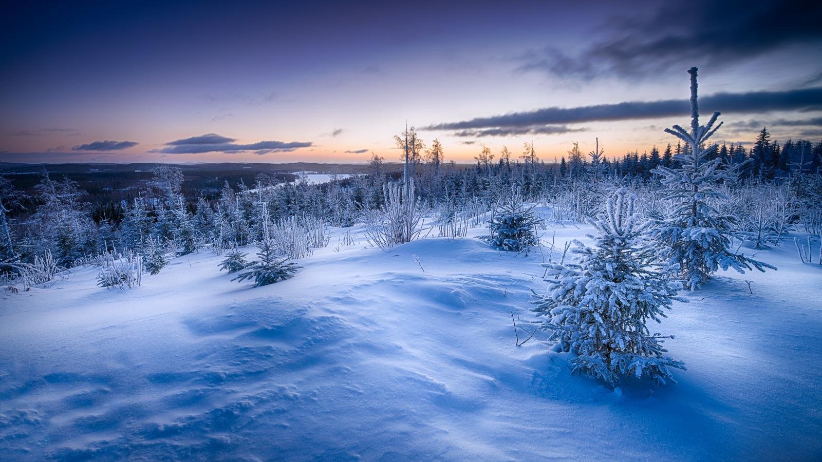 Free download Winter background ID:251115 hd 1600x900 for desktop