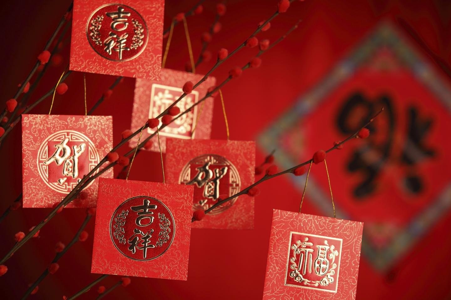 Free download Chinese New Year background ID:156064 hd 1440x960 for computer