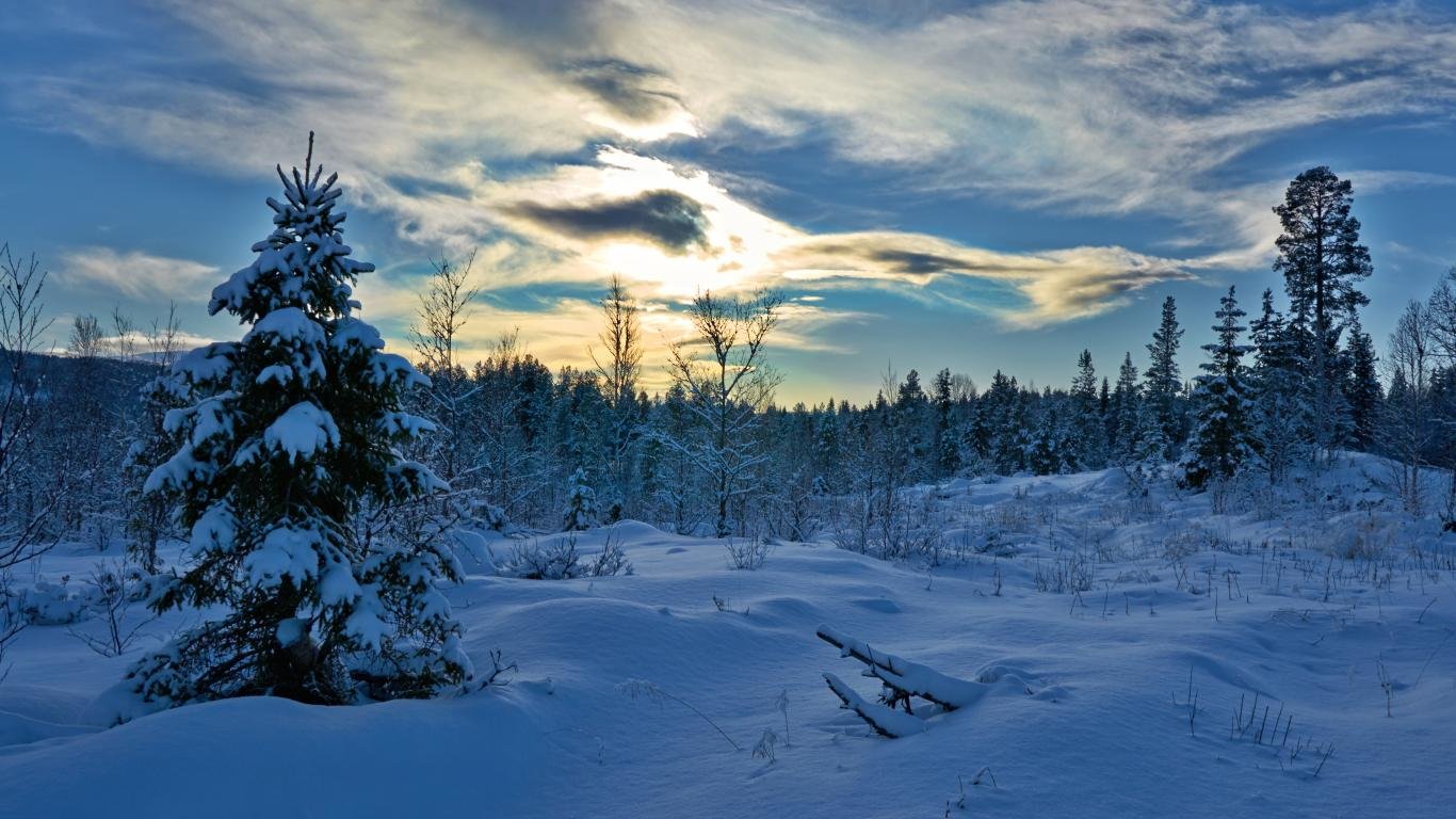 Download hd 1366x768 Winter PC background ID:252161 for free