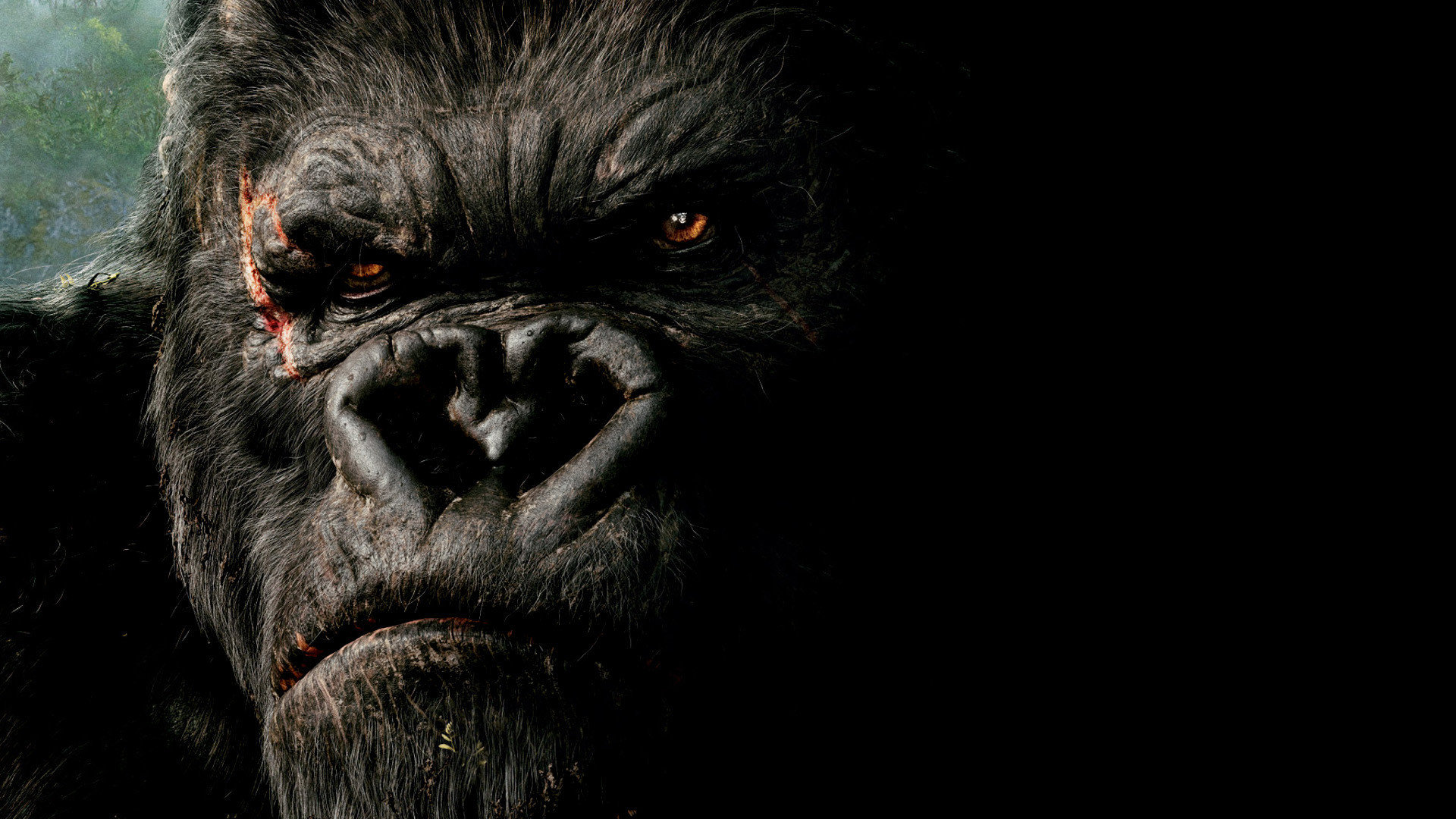 Download full hd 1920x1080 King Kong computer background ID:115437 for free