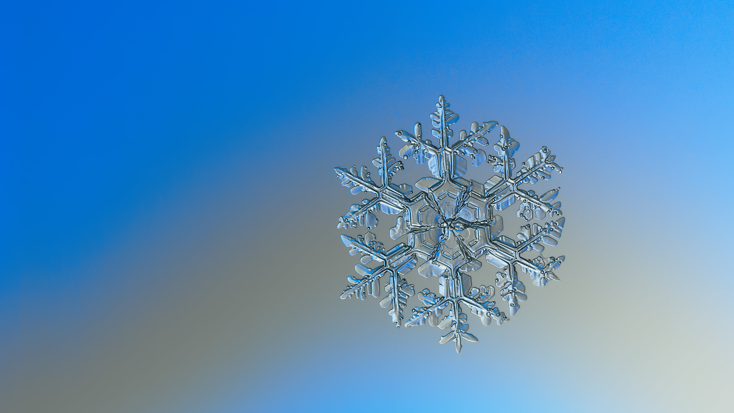 Download hd 2560x1440 Snowflake desktop wallpaper ID:45438 for free