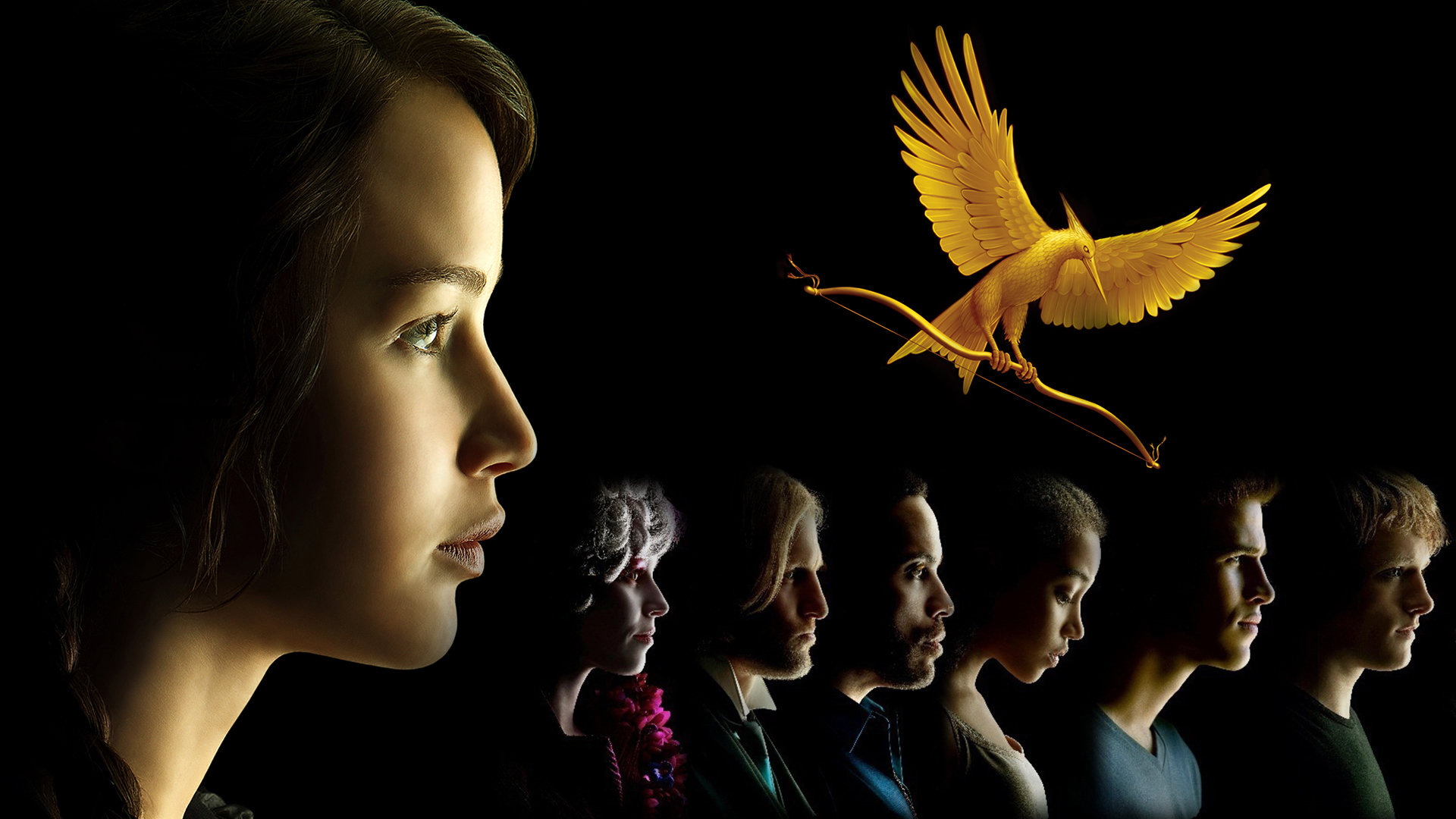 Best The Hunger Games background ID:316217 for High Resolution full hd 1080p computer