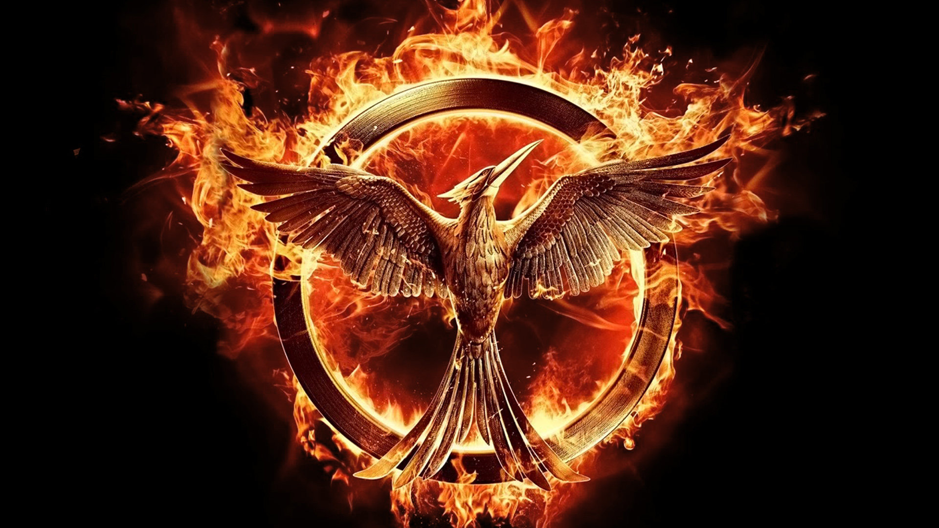 Free download The Hunger Games: Mockingjay - Part 1 background ID:91234 full hd 1080p for PC