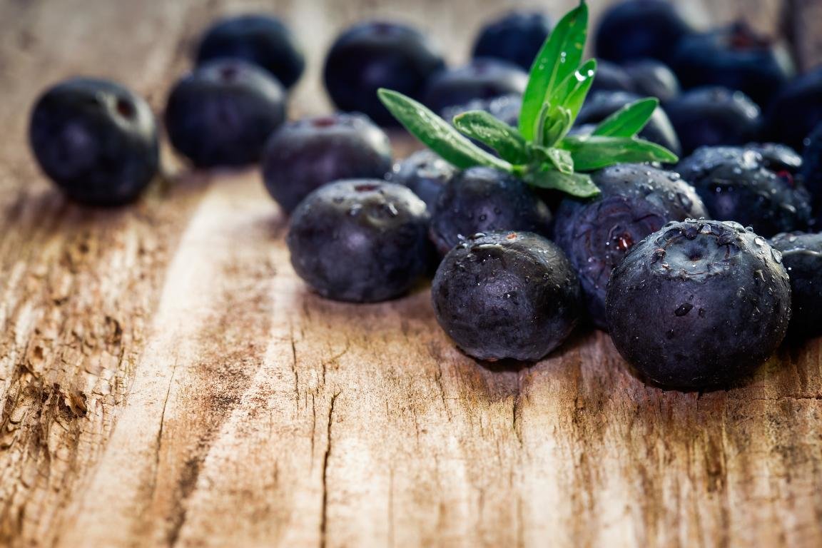Best Blueberry background ID:69024 for High Resolution hd 1152x768 PC