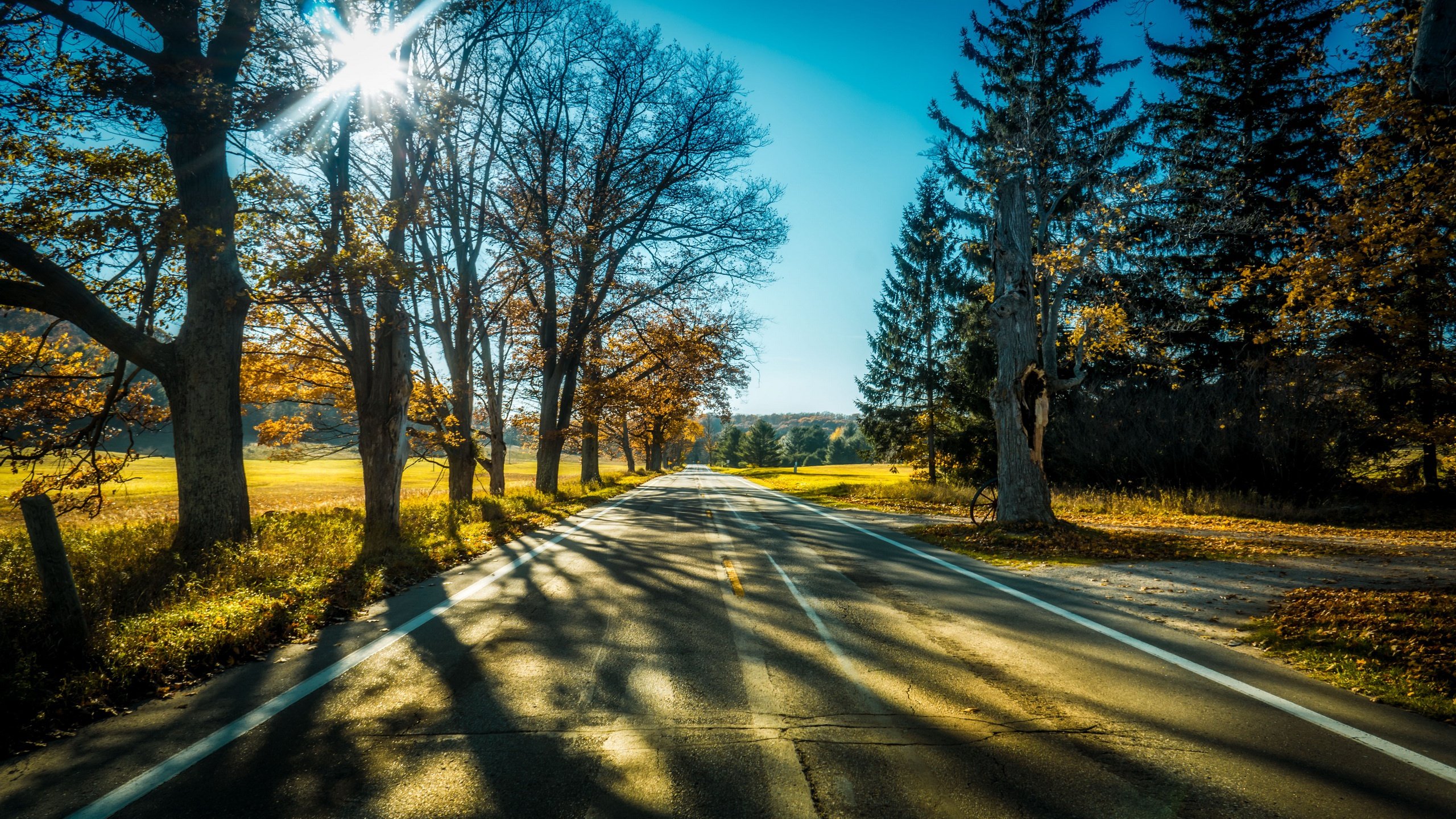 Awesome Road free wallpaper ID:491312 for hd 2560x1440 desktop