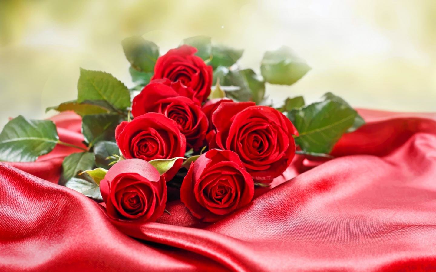 High resolution Valentine's Day hd 1440x900 wallpaper ID:373030 for PC