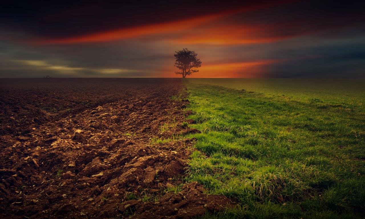 Free Field high quality background ID:70694 for hd 1280x768 desktop