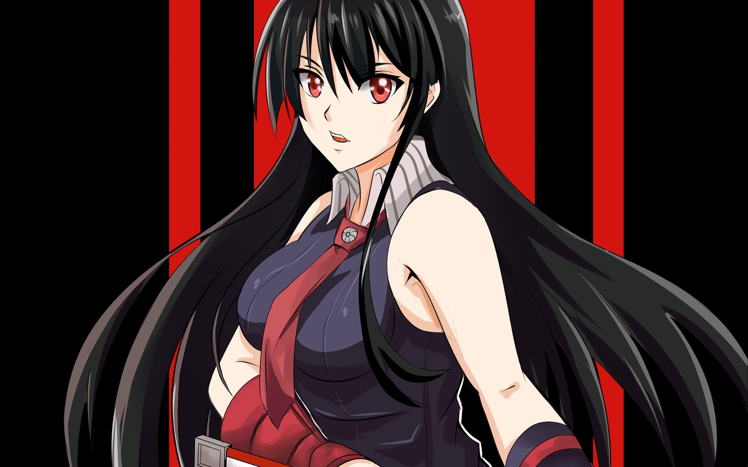 Free download Akame Ga Kill! background ID:208109 hd 2560x1600 for computer