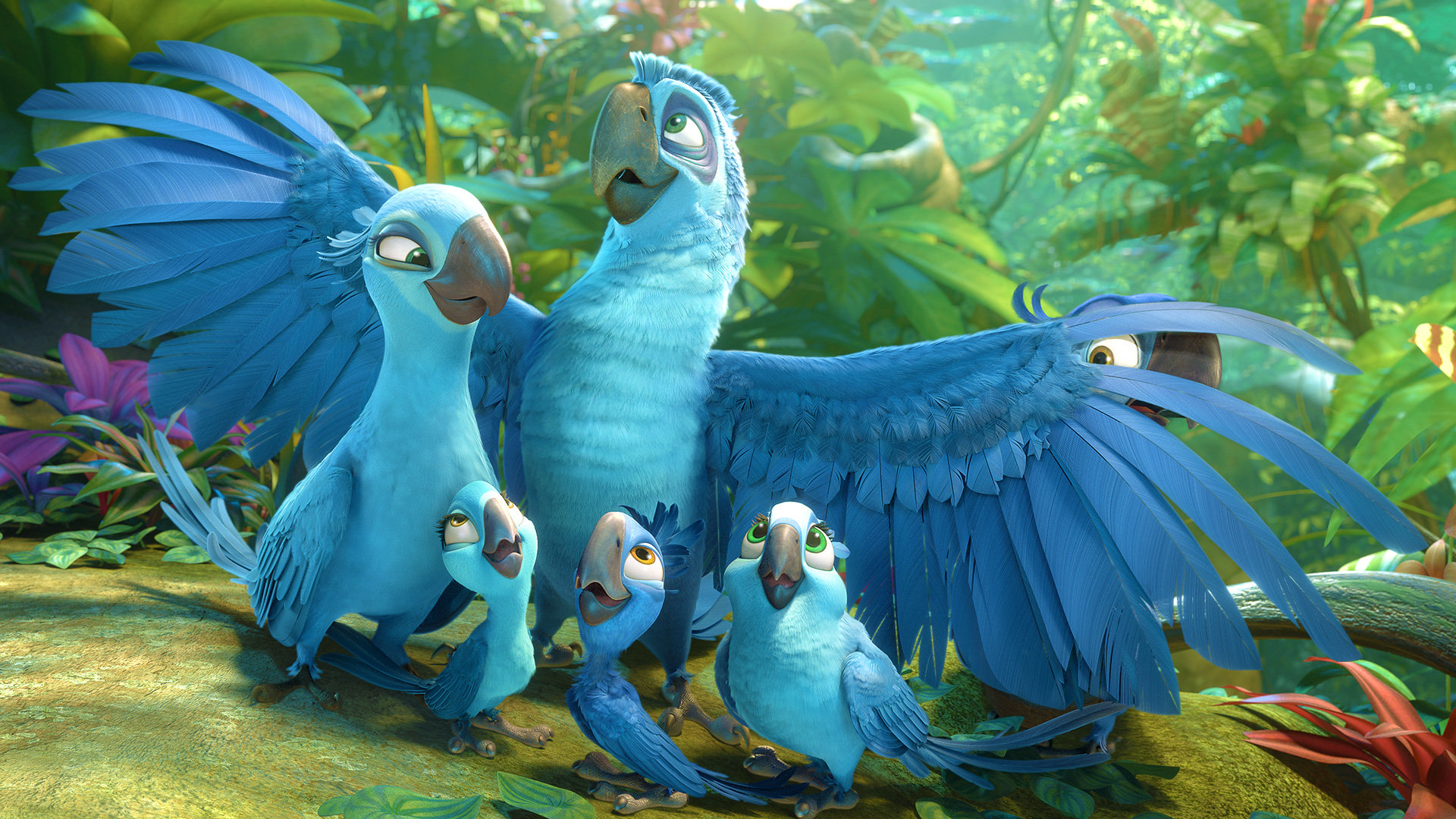 Best Rio 2 wallpaper ID:307563 for High Resolution full hd 1920x1080 computer