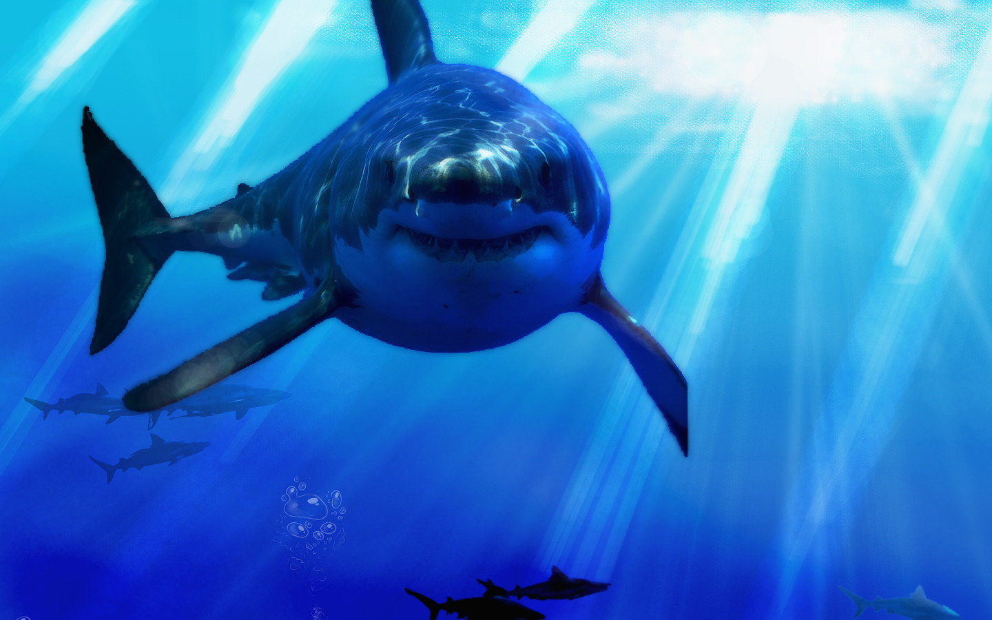 Free Shark high quality background ID:180512 for hd 1440x900 PC
