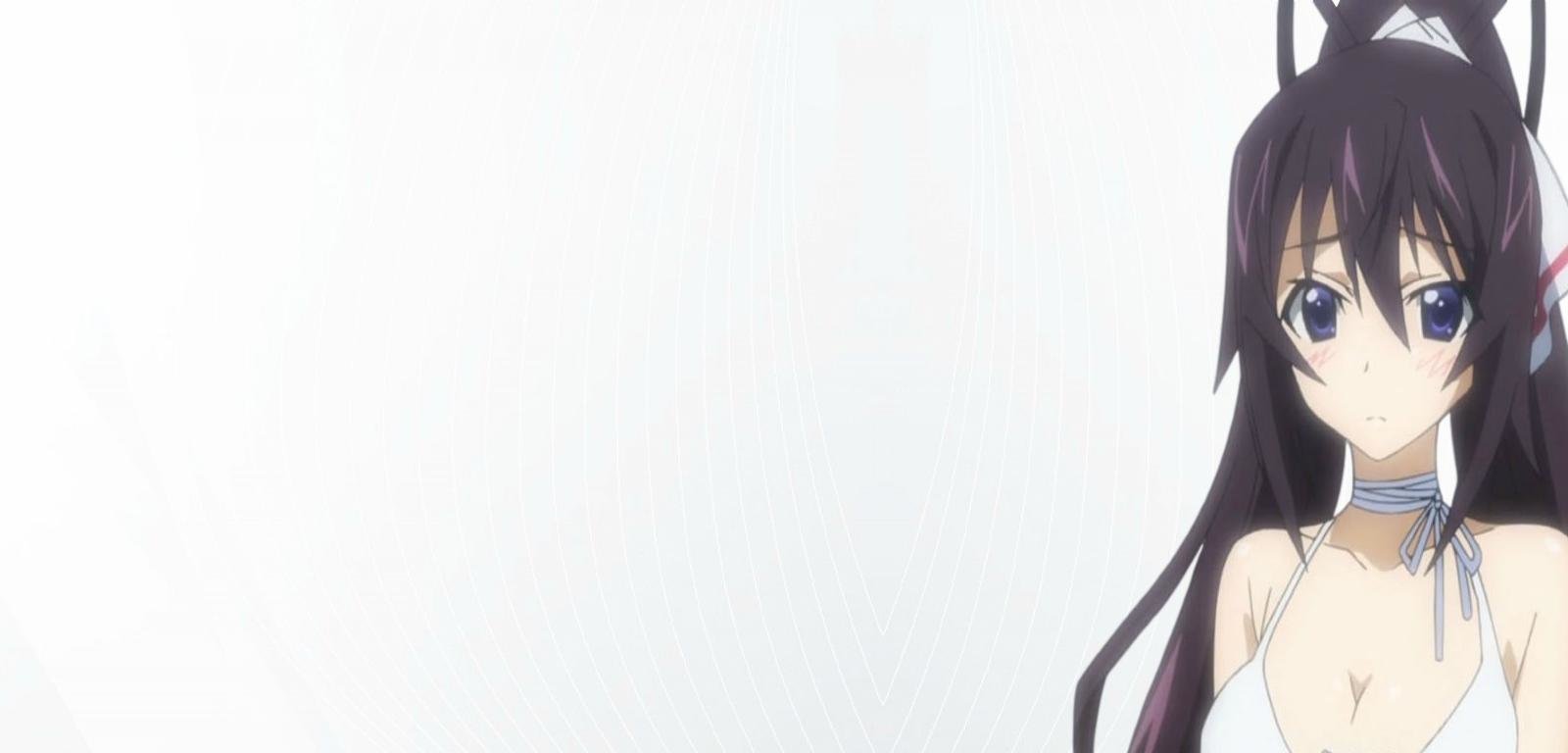 Free Infinite Stratos high quality background ID:162992 for hd 1600x768 desktop