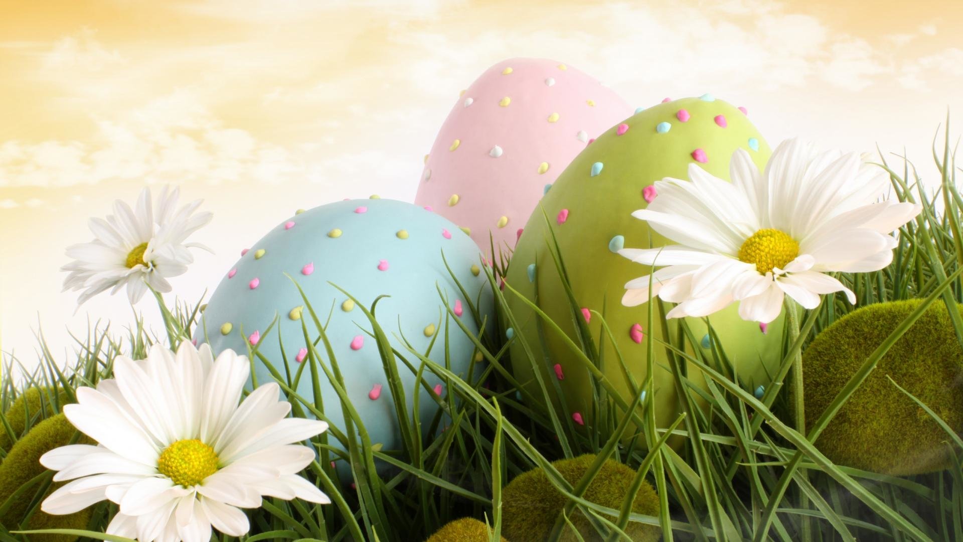 Download full hd Easter PC background ID:324824 for free