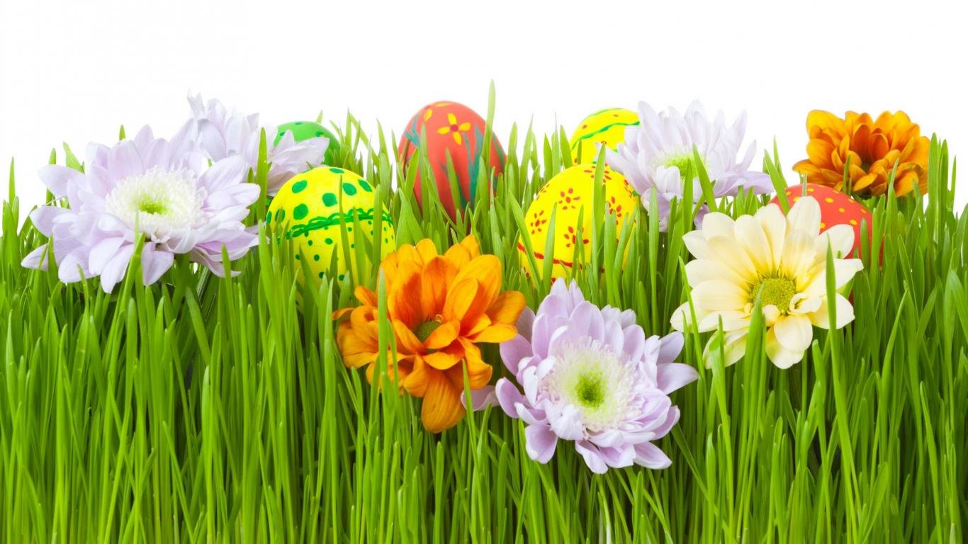 High resolution Easter hd 1366x768 wallpaper ID:324830 for computer