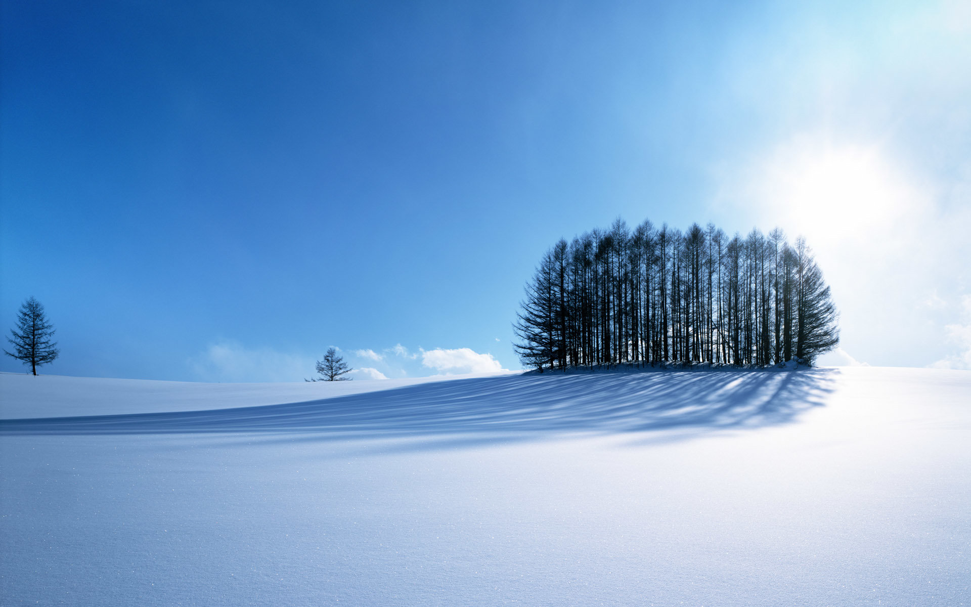 Free download Winter background ID:251269 hd 1920x1200 for desktop