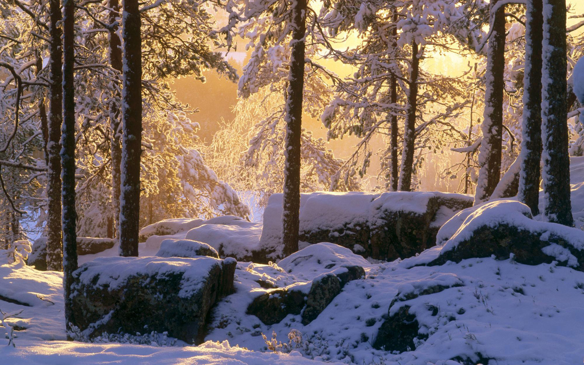 Awesome Winter free background ID:251266 for hd 1920x1200 PC