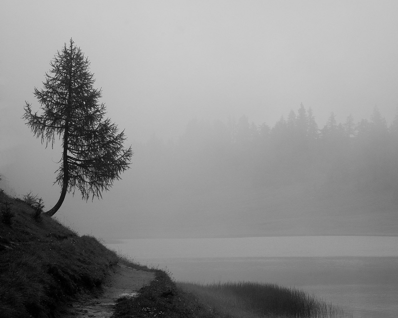 Awesome Fog free wallpaper ID:400867 for hd 1280x1024 computer