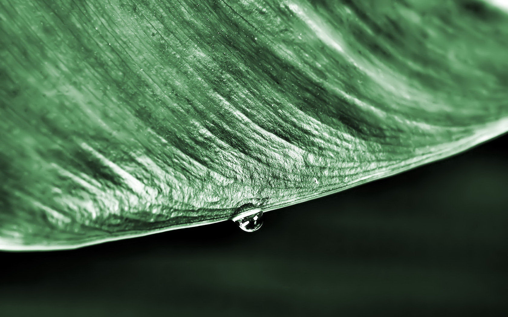 High resolution Water Drop hd 1680x1050 background ID:430135 for PC