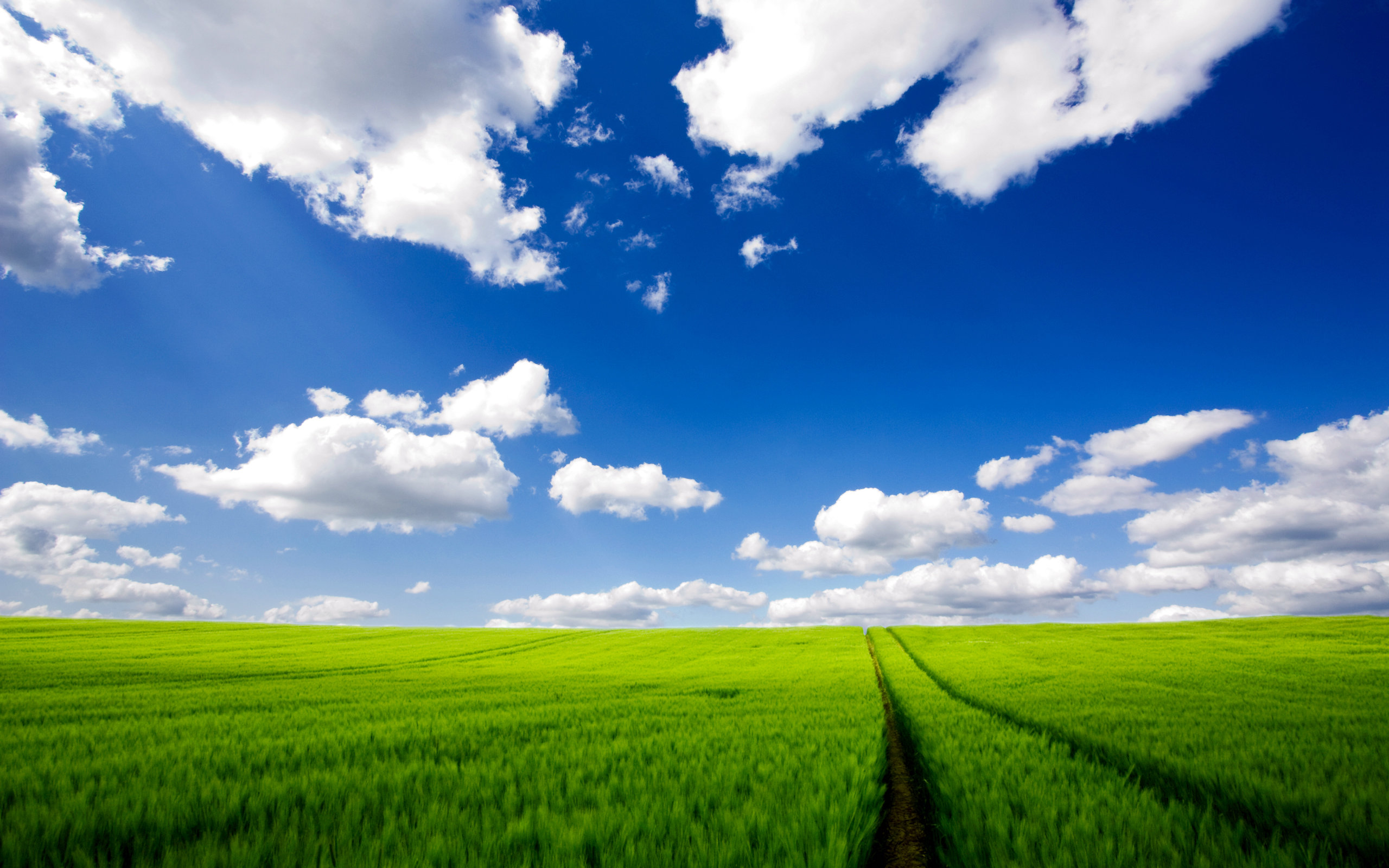 Awesome Field free wallpaper ID:70680 for hd 2560x1600 PC
