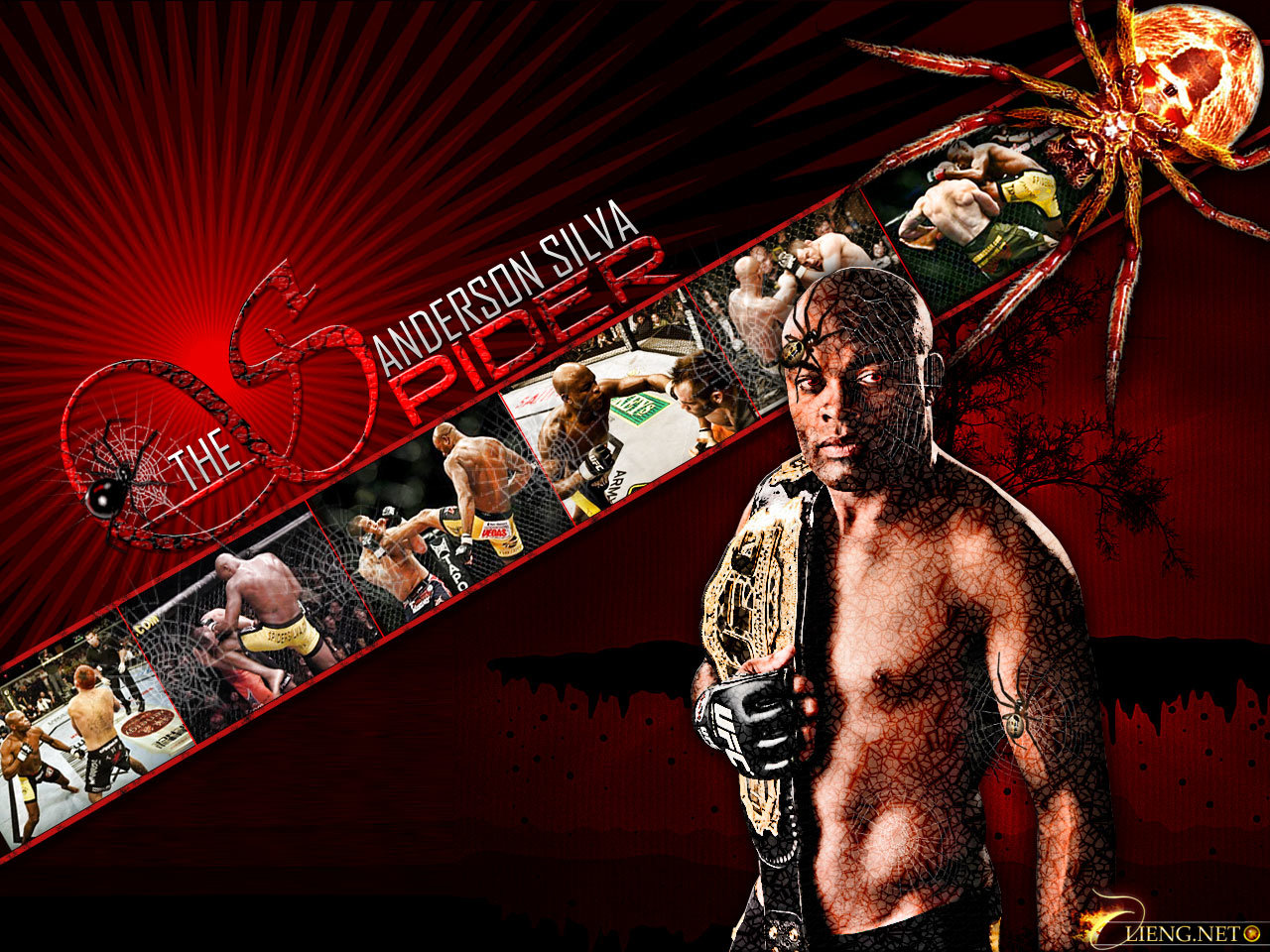 Awesome MMA (Mixed Martial Arts) free wallpaper ID:389430 for hd 1280x960 computer