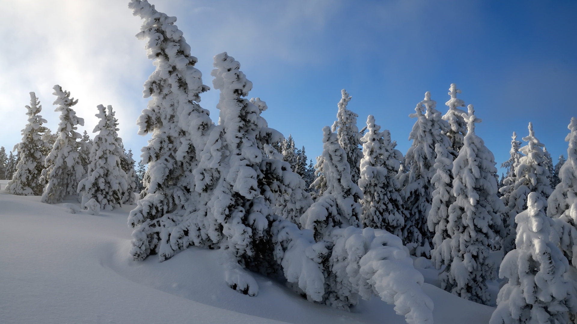 Free Winter high quality background ID:251021 for hd 1080p computer