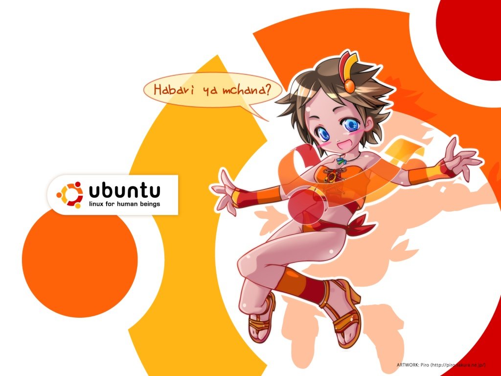 Best Ubuntu wallpaper ID:245791 for High Resolution hd 1024x768 desktop