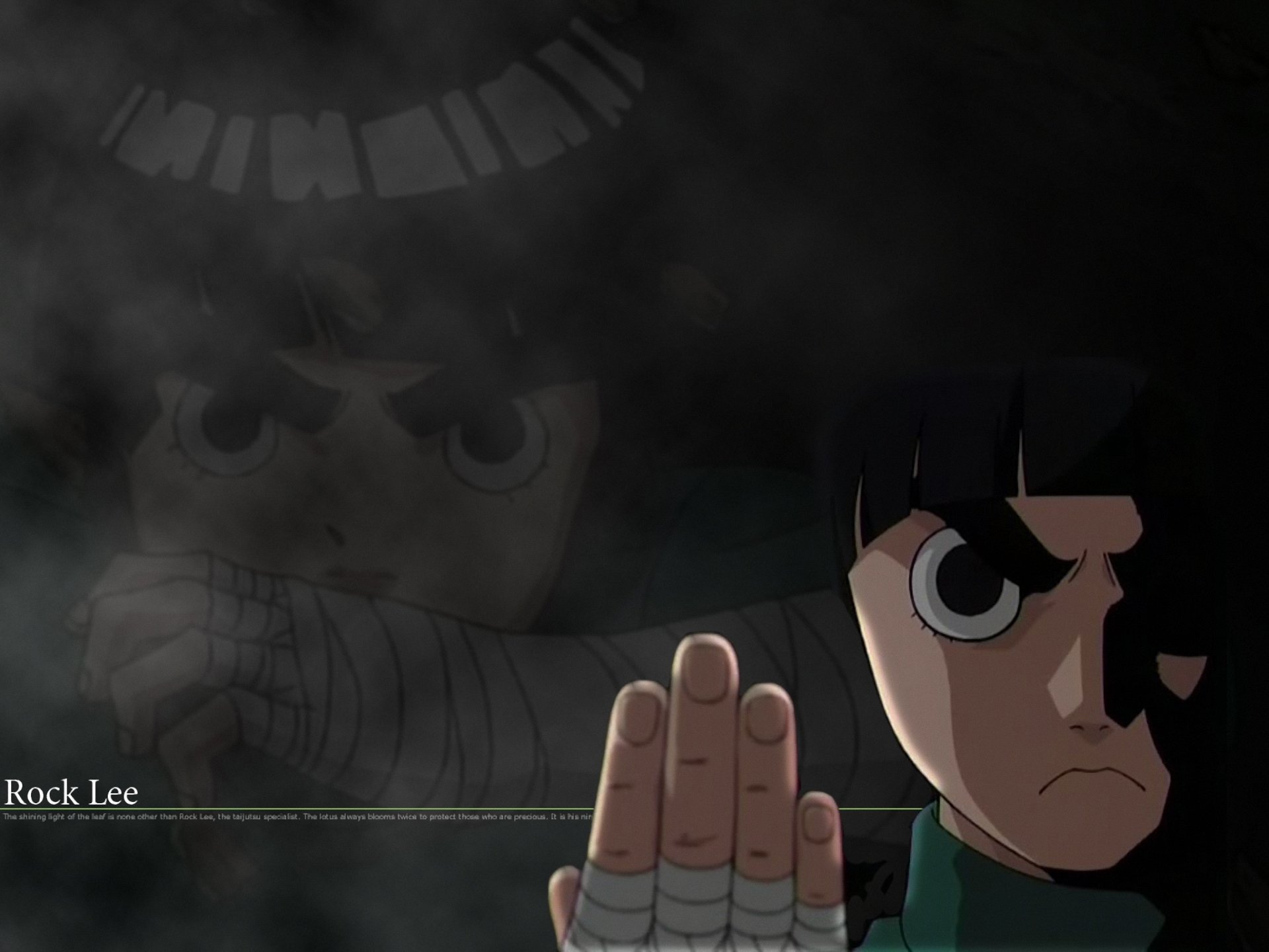 High resolution Rock Lee hd 1920x1440 background ID:396553 for computer