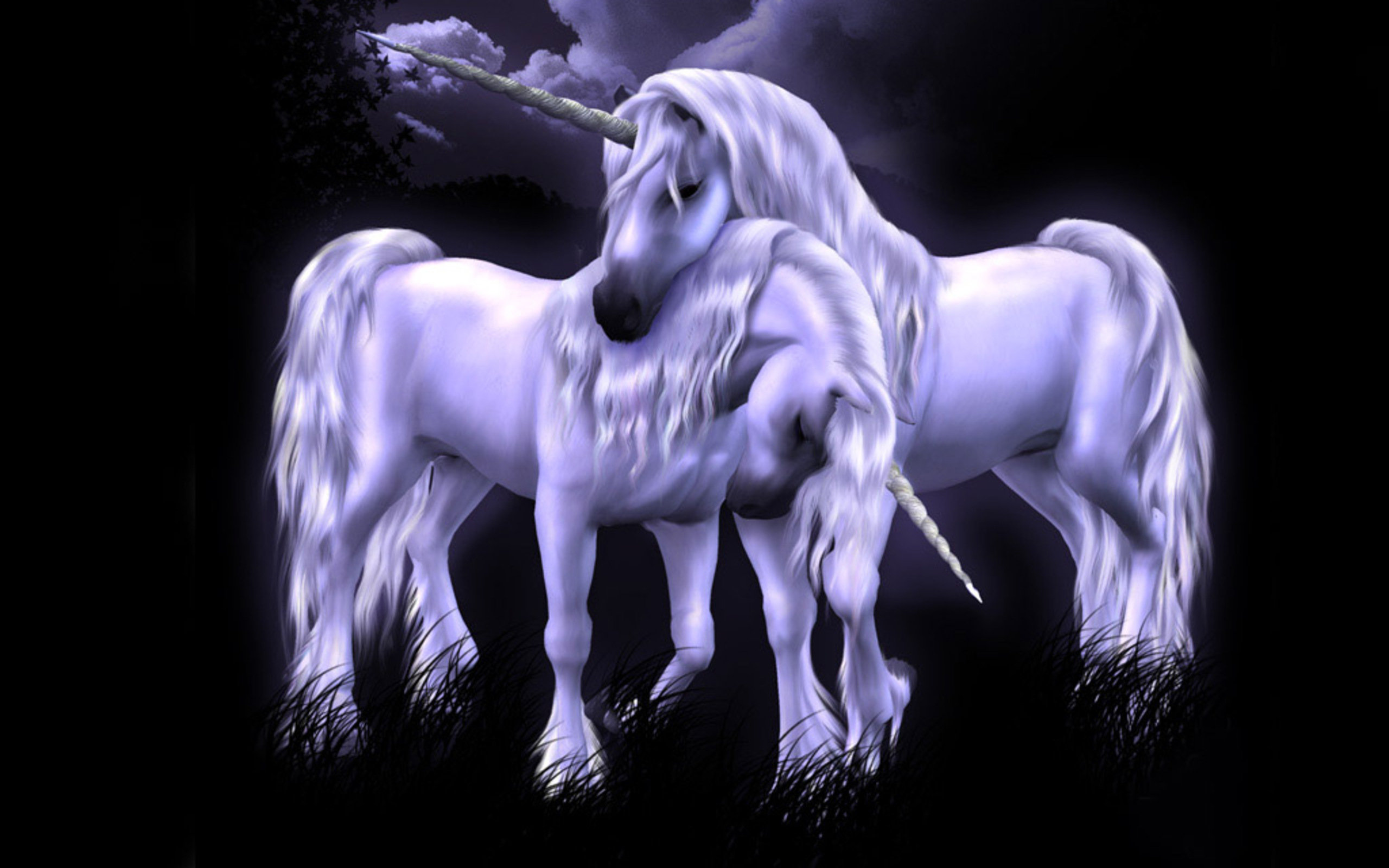 Download hd 2560x1600 Unicorn computer background ID:408735 for free