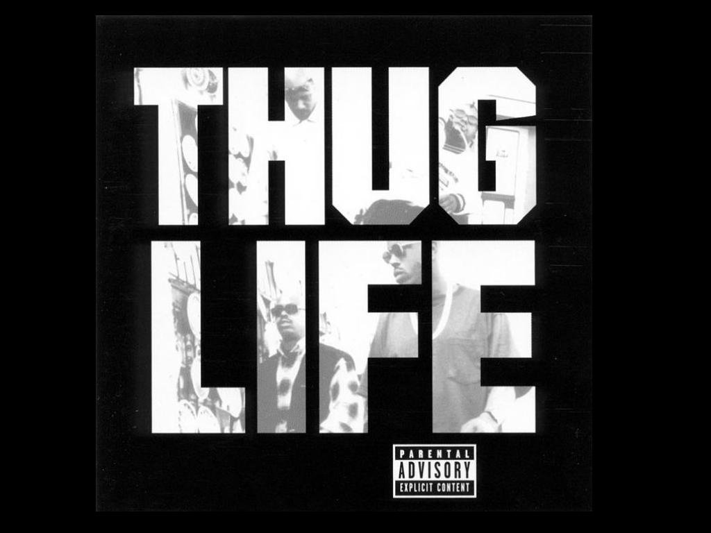 Best Thug Life wallpaper ID:438842 for High Resolution hd 1024x768 PC