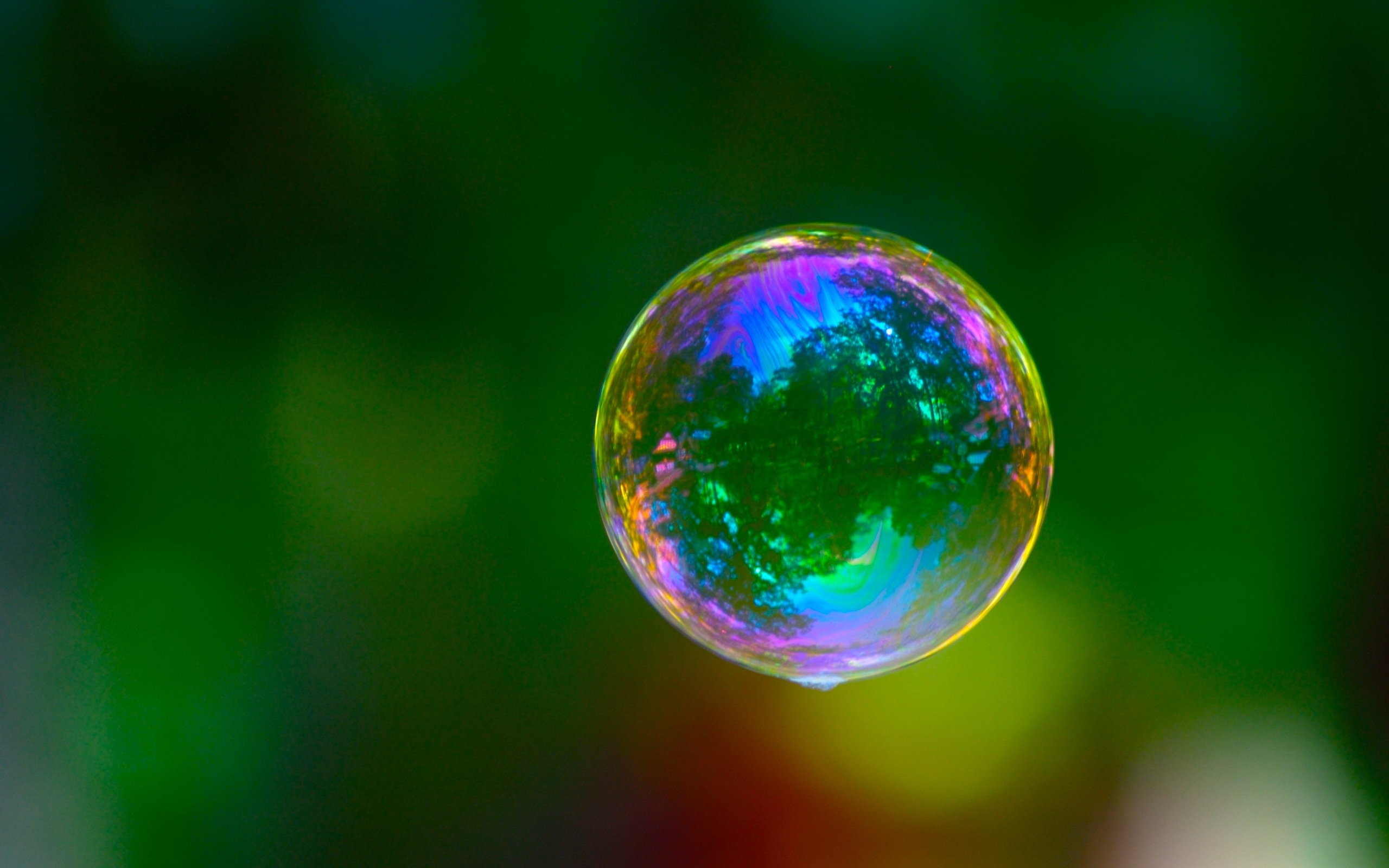 High resolution Bubble hd 2560x1600 wallpaper ID:451227 for computer