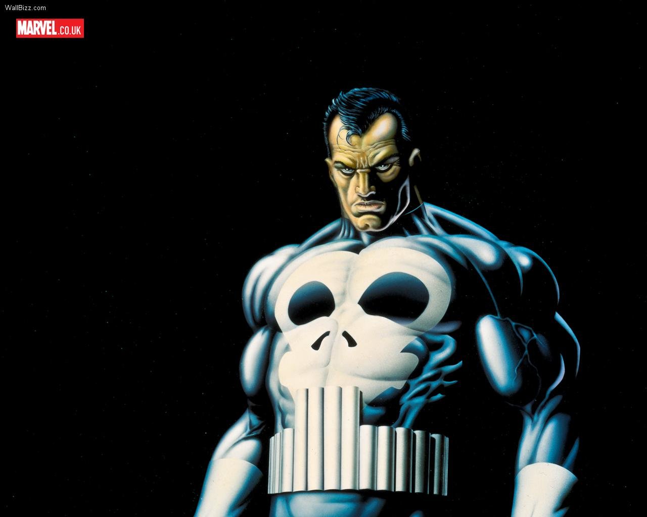 Free The Punisher high quality background ID:134657 for hd 1280x1024 PC
